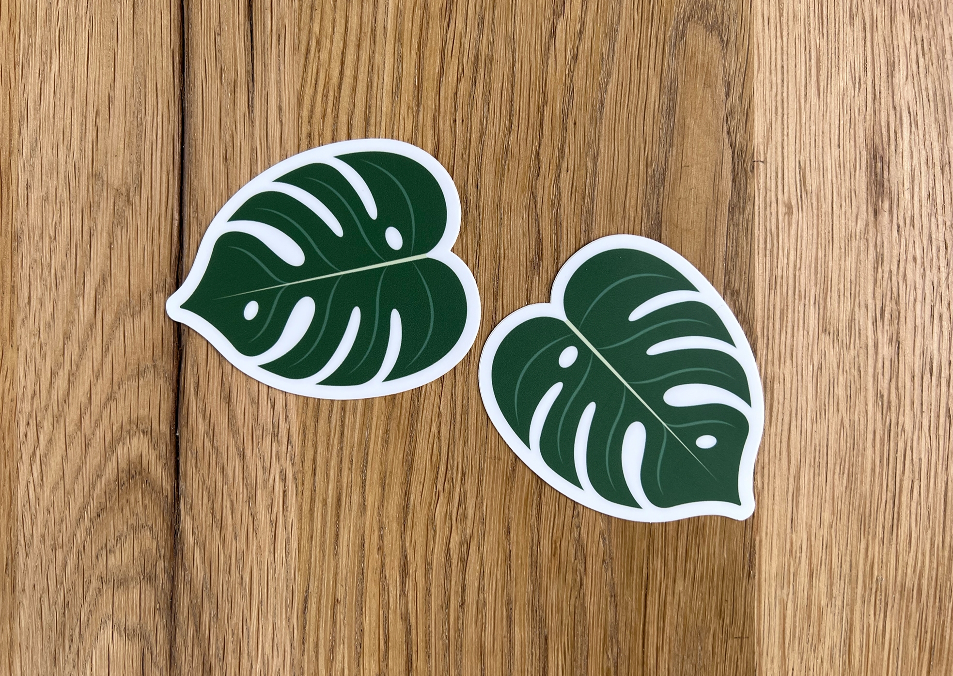 Vinyl Monstera Deliciosa Stickers (x 2) – tylermossop