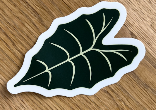 Vinyl Alocasia Sticker