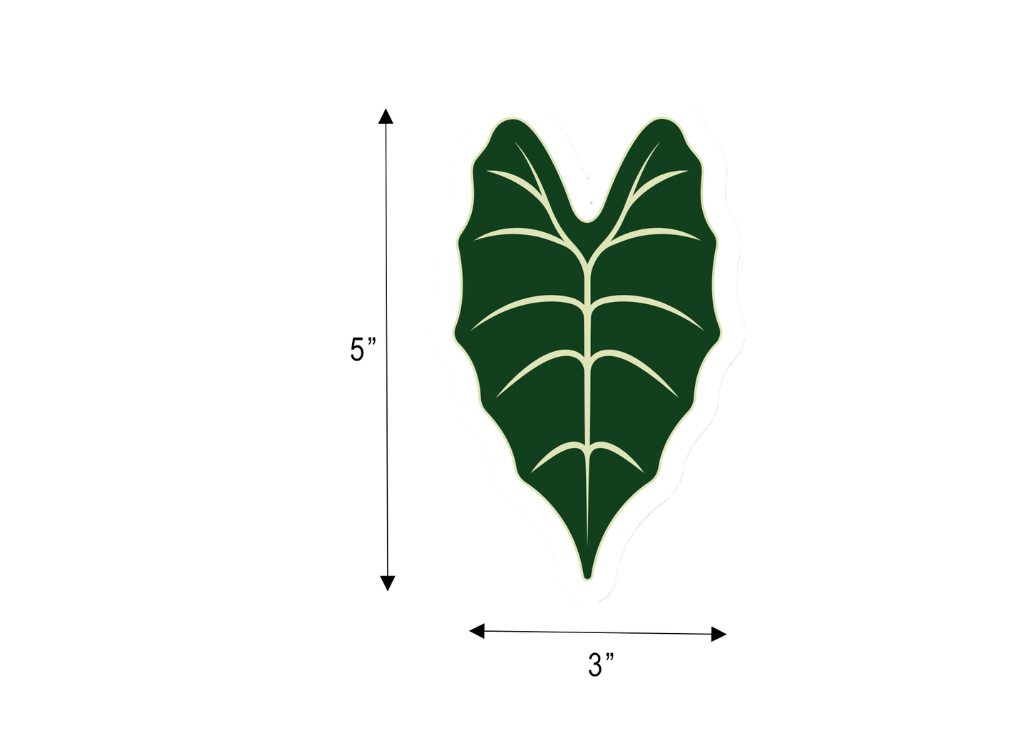 Vinyl Alocasia Sticker