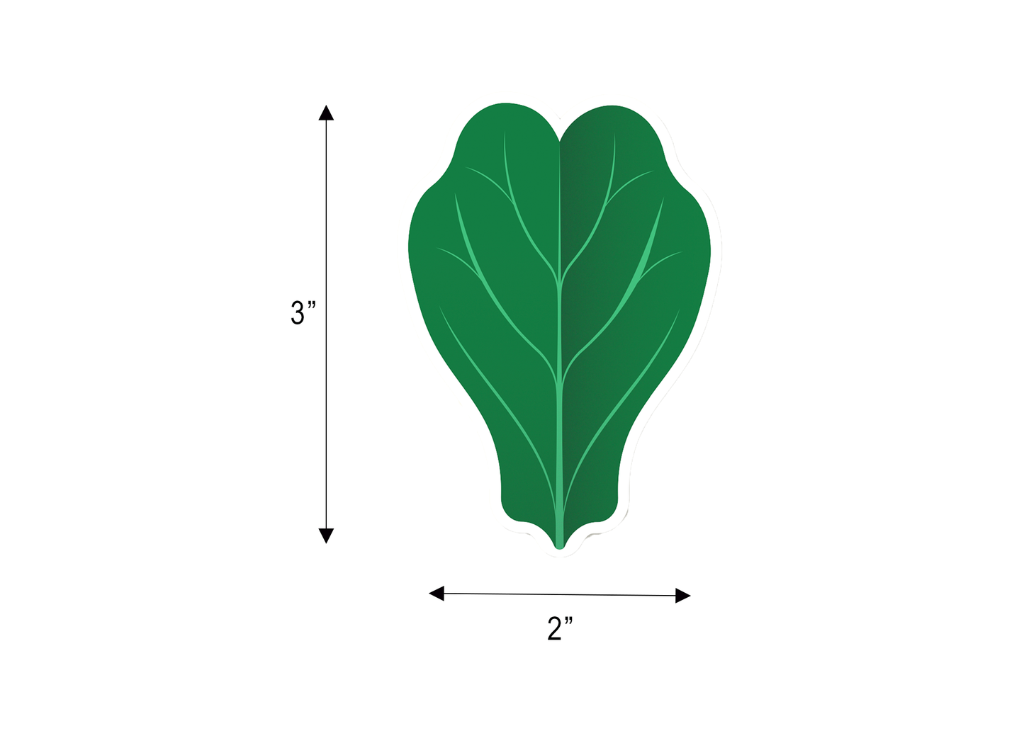 Vinyl Fiddle Leaf Fig Stickers (x 2)