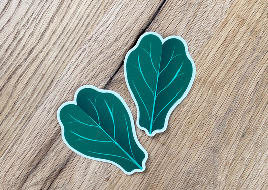 Vinyl Fiddle Leaf Fig Stickers (x 2)