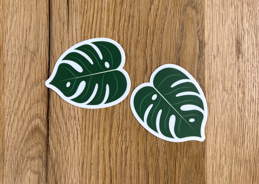 Vinyl Monstera Deliciosa Stickers (x 2)