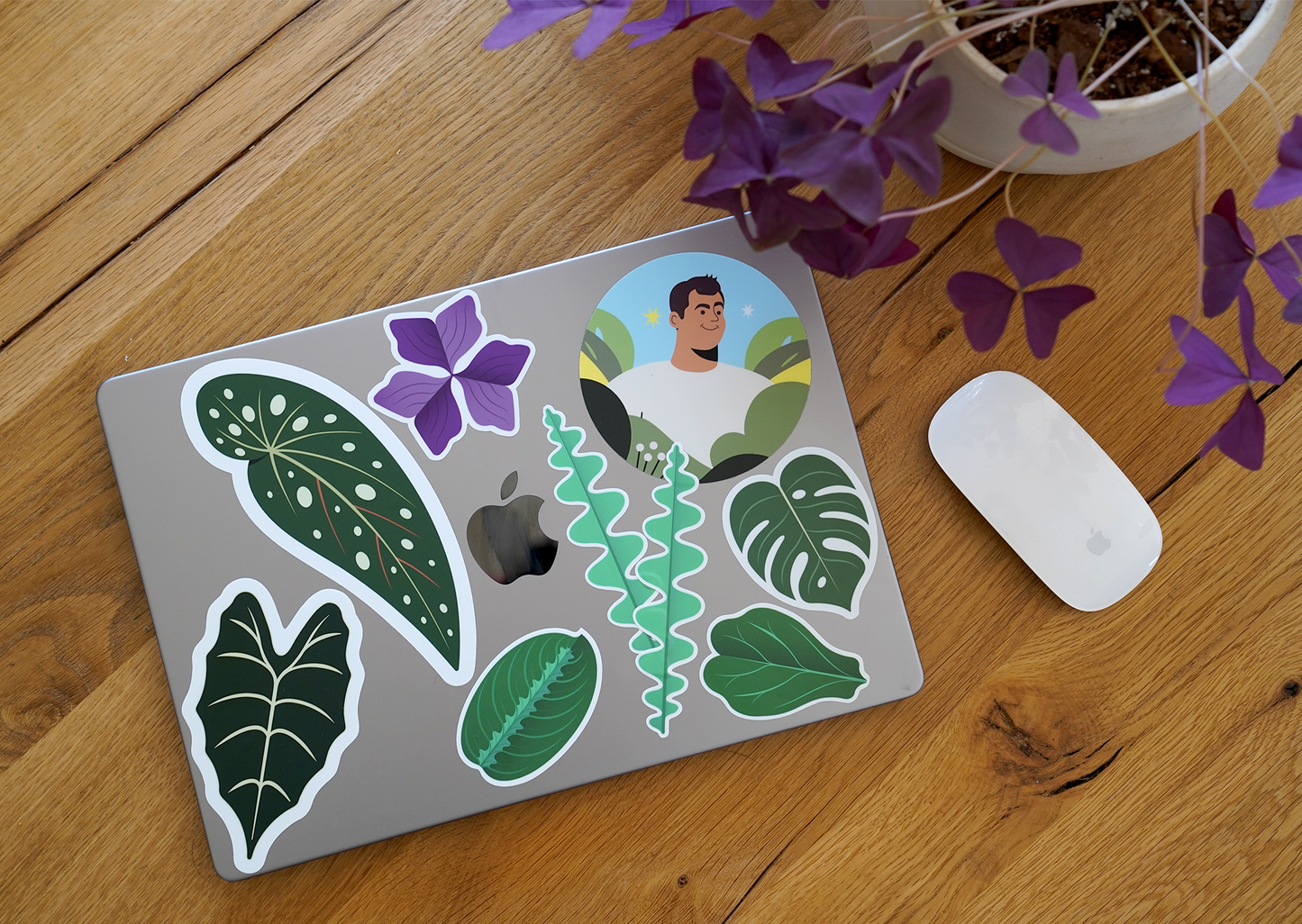 Houseplant Foliage Sticker Collection