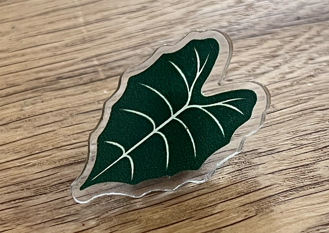 Alocasia Pin