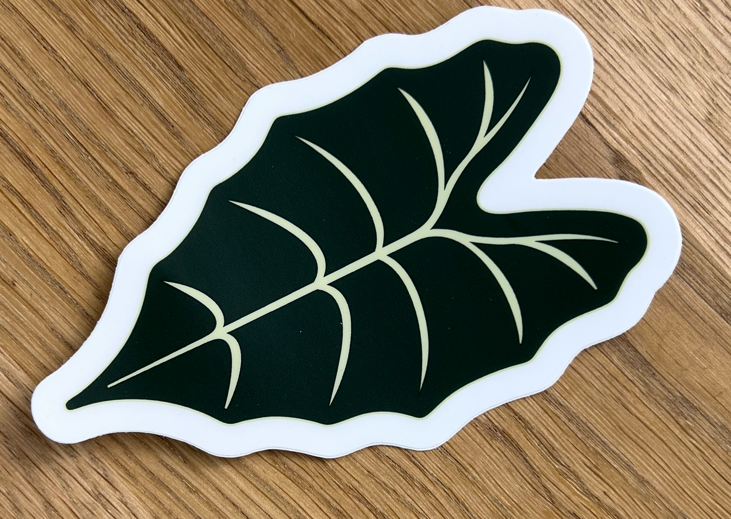 Vinyl Alocasia Sticker