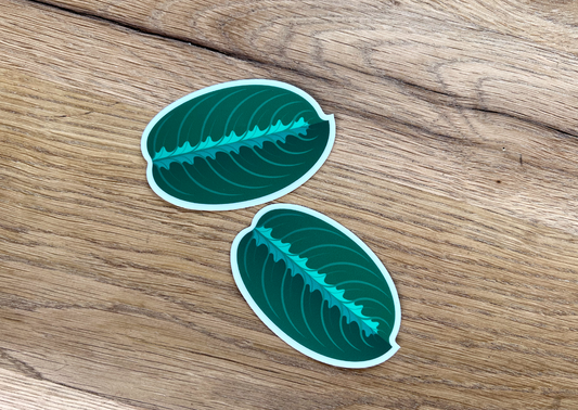 Vinyl Maranta Stickers (x 2)